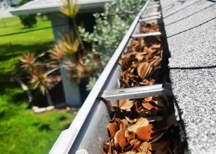 Dellwood gutter cleaning home page